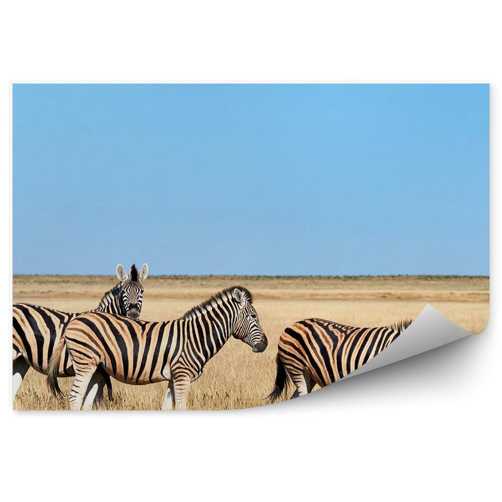 Papier peint Zèbre Savane Africaine Ciel