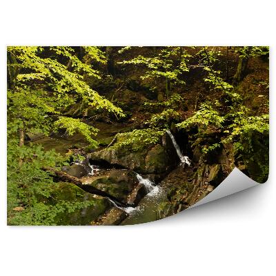 Papier peint Ruisseau Forestier Montagnes Bieszczady