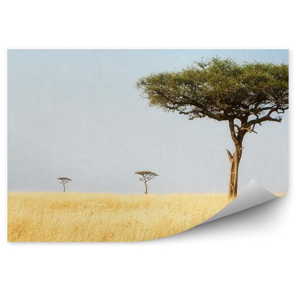 Papier peint Paysage arbres nature afrique