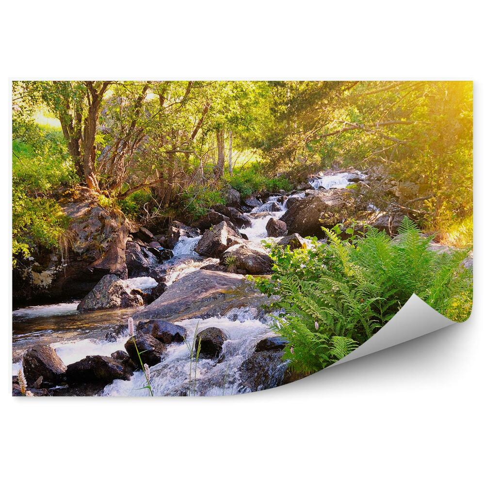 Papier peint Montagnes Rivière Ruisseau Pierres Nature Verdure