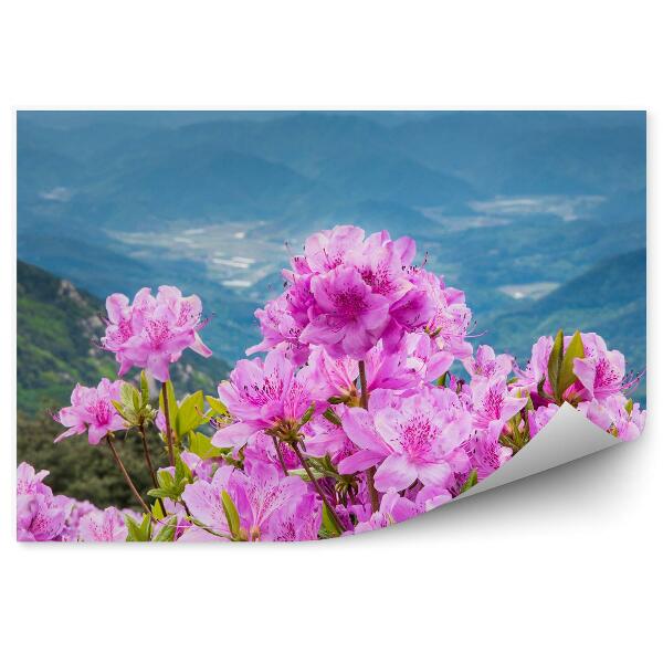 Papier peint Fleur de rhododendron dans un paysage de montagne