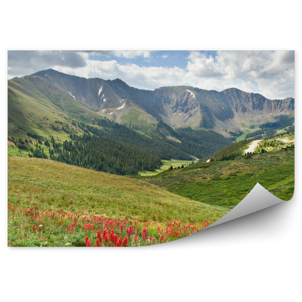Papier peint Pré des Alpes Fleurs Végétation verte