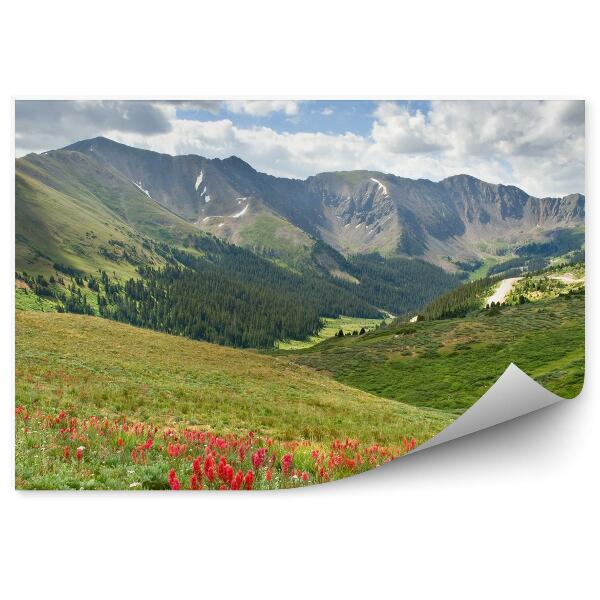 Papier peint Pré des Alpes Fleurs Végétation verte