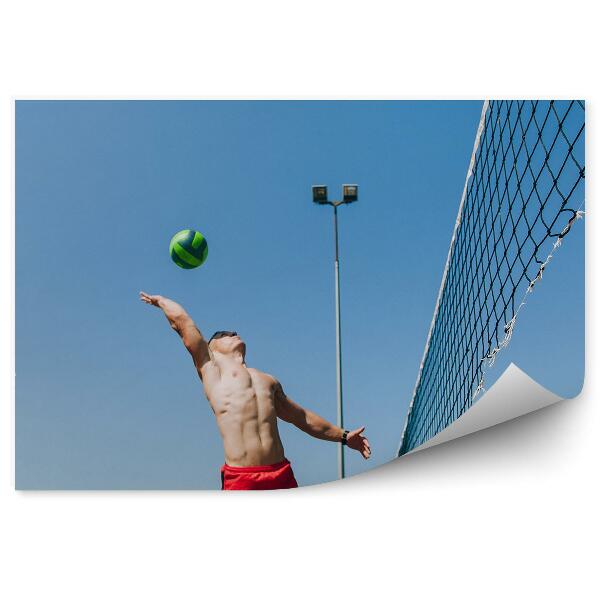 Papier peint Match de volley-ball arbre bâtiments homme