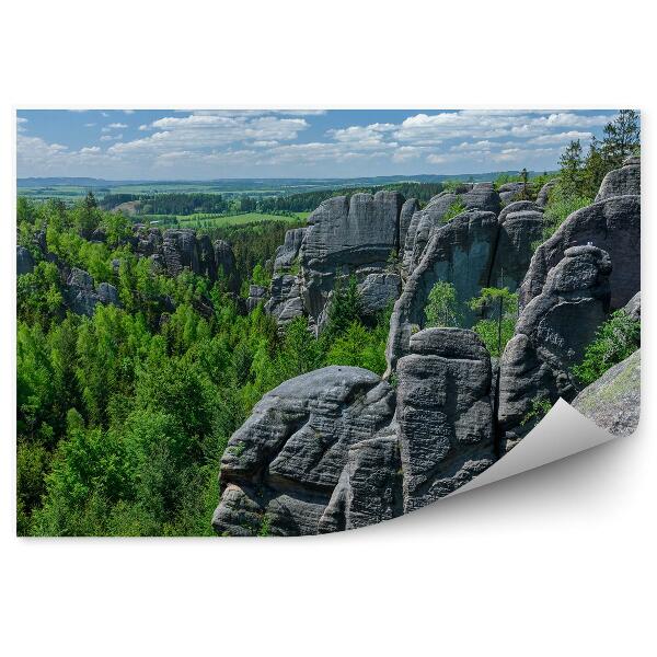 Papier peint Paysage De Montagne Rochers Forêts Sudety