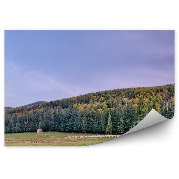 Papier peint Panorama De La Ville De Tatra Arbres Conifères Herbe Cabanes Ciel