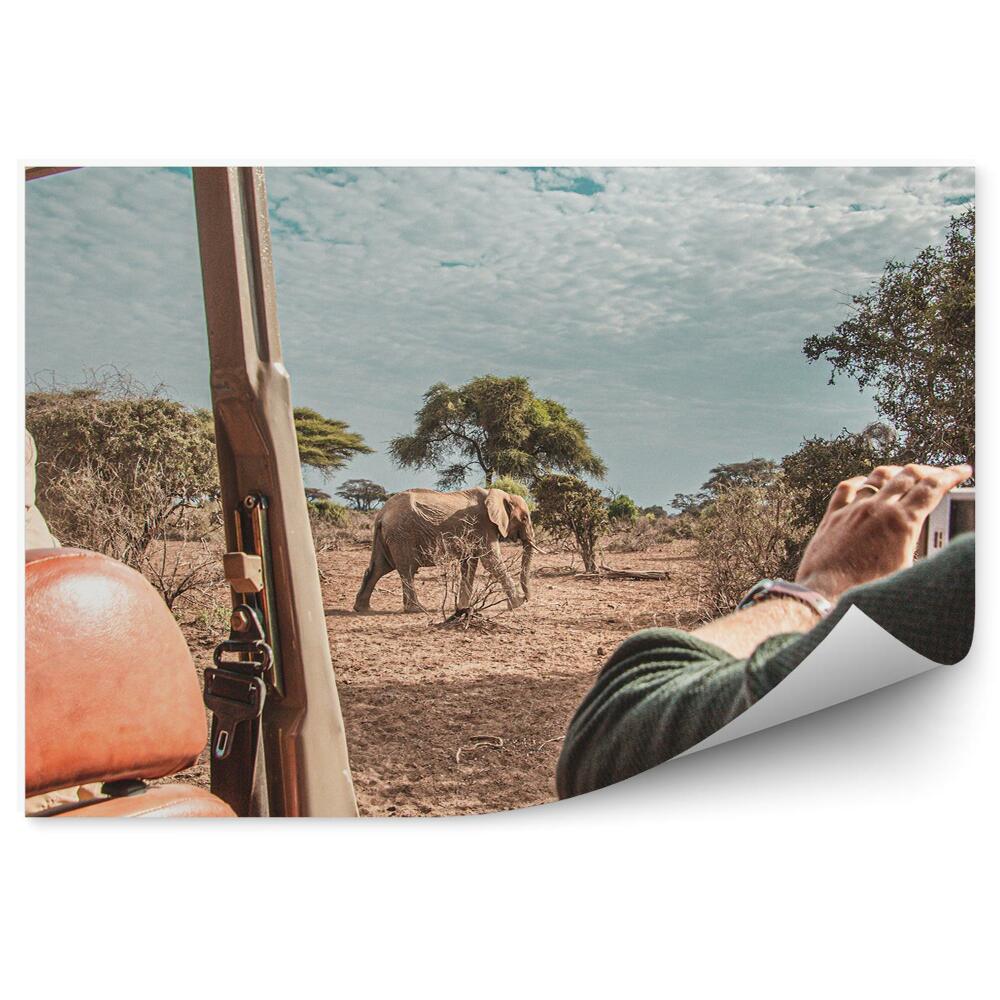 Papier peint Éléphant en safari Vue de la voiture