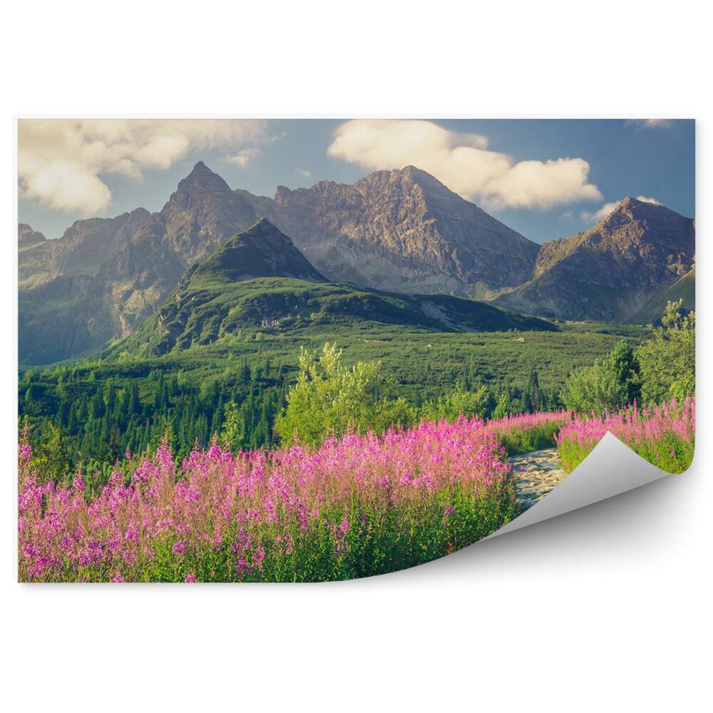 Papier peint Montagnes Des Tatras Montagnes Enterrées Arbres Verts Fleurs Plantes Chemin Ciel Nuages