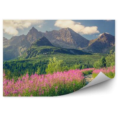 Papier peint Montagnes Des Tatras Montagnes Enterrées Arbres Verts Fleurs Plantes Chemin Ciel Nuages