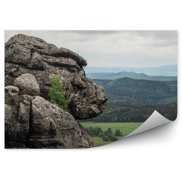 Papier peint Vue De Montagne Rochers Clairières Forêts Ciel Nuageux