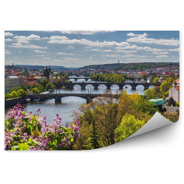 Papier peint Panorama de la ville Vue à vol d'oiseau Fleurs Arbustes