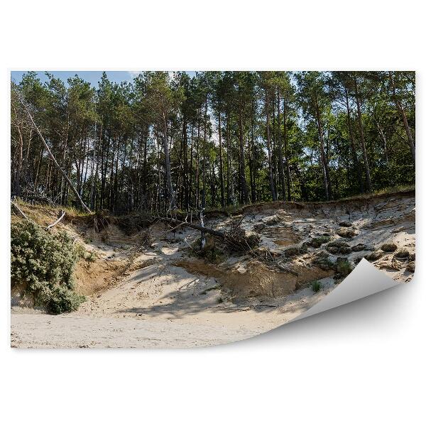 Papier peint Escarpement Arbres Forêt Plage Sable