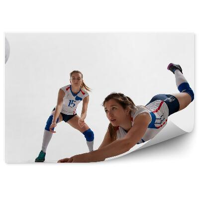 Papier peint Ballon de volley-ball