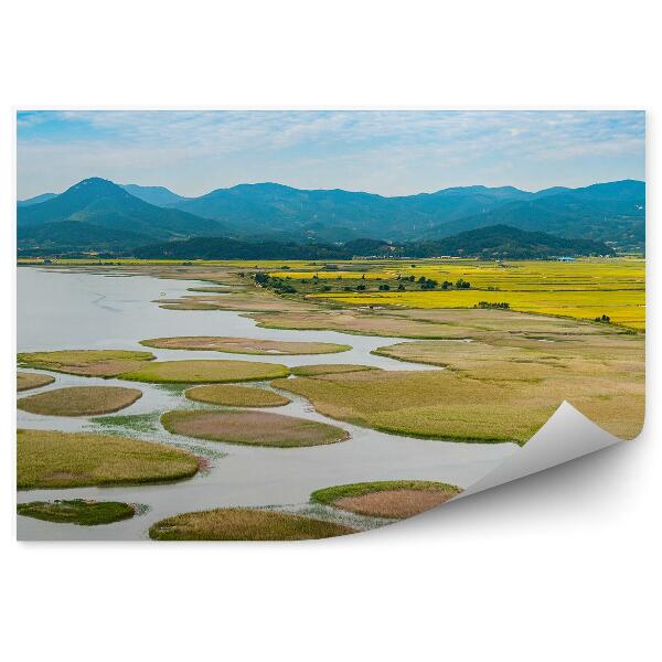 Papier peint Suncheon man bay nature paysage