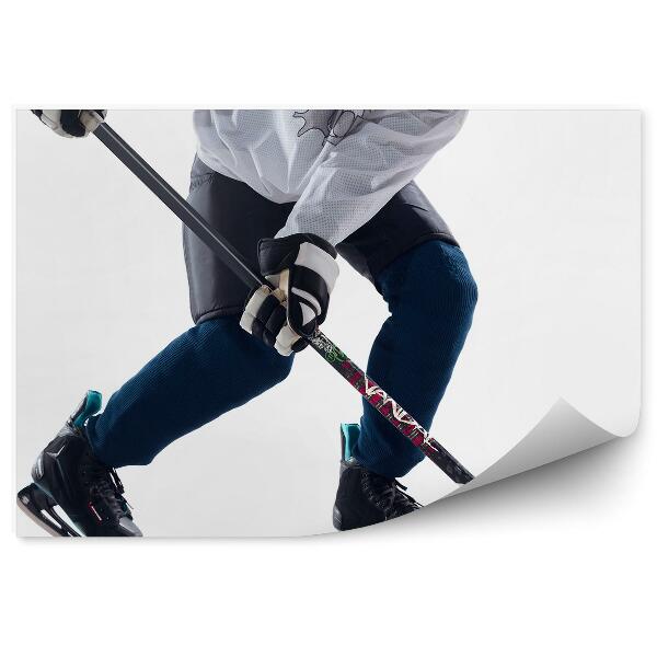 Papier peint Crosse de glace, palet, joueur de hockey