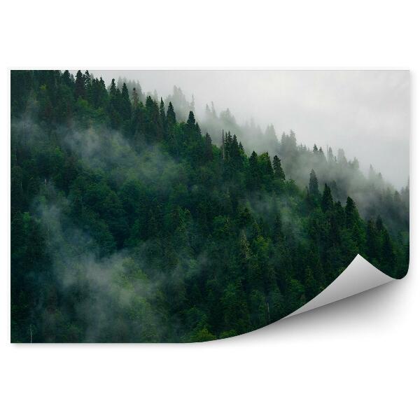 Papier peint Brouillard De La Forêt Des Montagnes