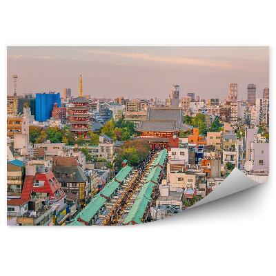 Papier peint Vue d'oiseau Tokyo Japon