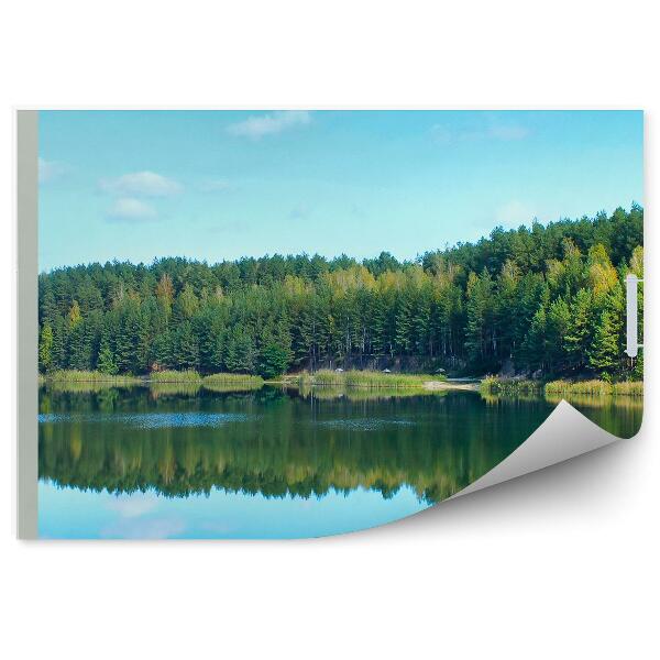 Papier peint Neige D'hiver Fenêtre En Bois Dans Un Chalet Avec Vue Sur Les Arbres De Noël