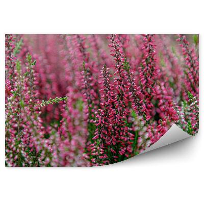 Papier peint Branches de bruyère