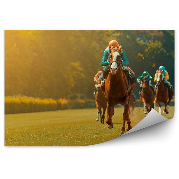 Papier peint Jockey De Course De Chevaux Arbres Herbe