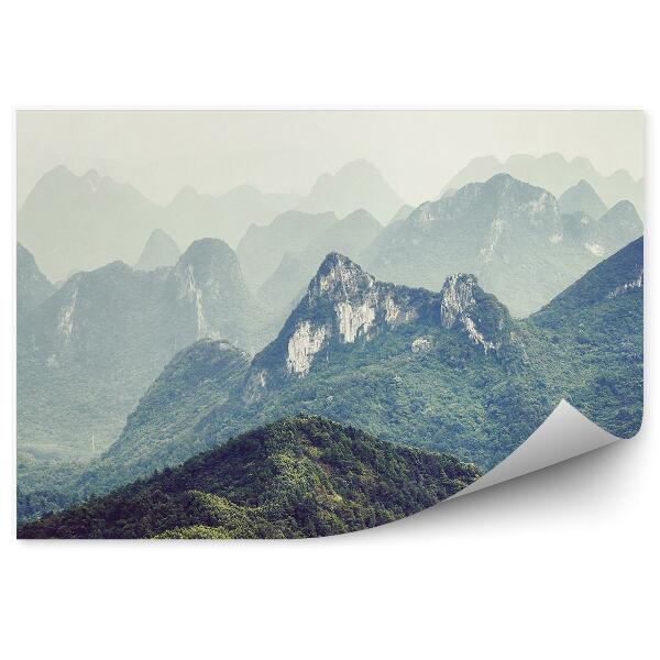 Papier peint Montagnes Arbres Rochers Brouillard