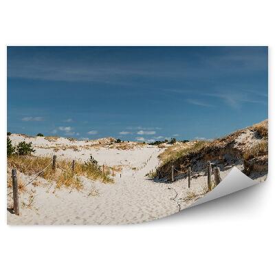 Papier peint Sentier Sable Poteaux Herbe