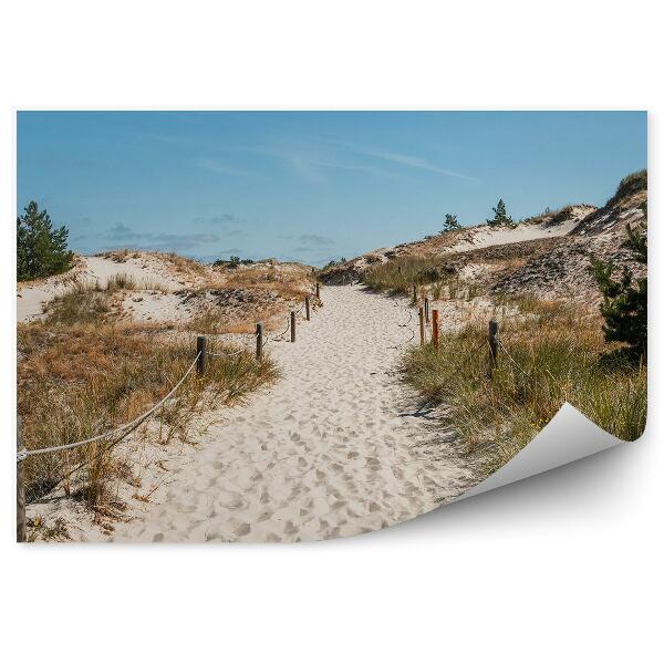 Papier peint Chemin de plage Herbe Plantes Sable