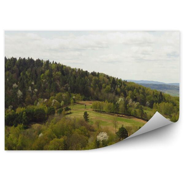 Papier peint Forêt Arbres Colline Champ Paysage Bieszczady