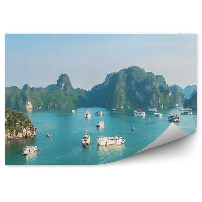 Papier peint Bateaux Rochers Plantes Vertes Océan Ciel Paysage