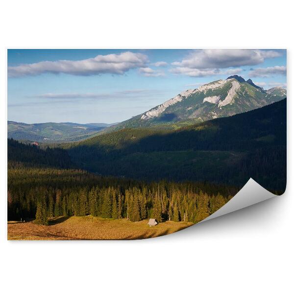 Papier peint Clairière De Rusinowa Montagne Ombre Arbres Ciel Nuages Montagnes Tatra