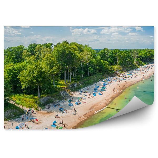 Papier peint Plage Touristes Soleil d'été Verdure