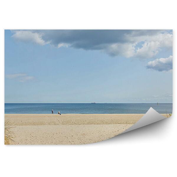 Papier peint Plage Herbe Sable Mer Horizon