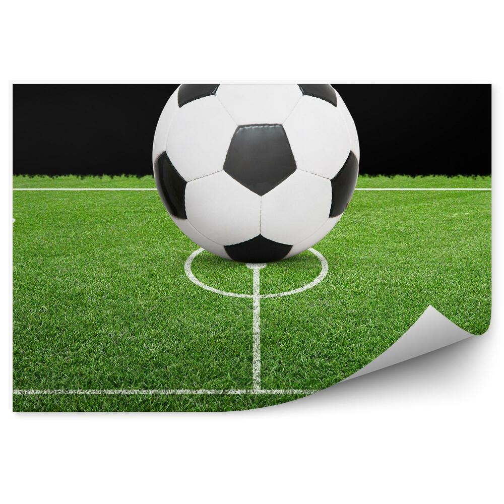 Papier peint Football dans le but de la pelouse de football