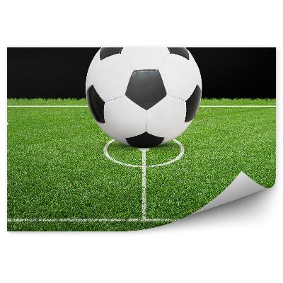 Papier peint Football dans le but de la pelouse de football