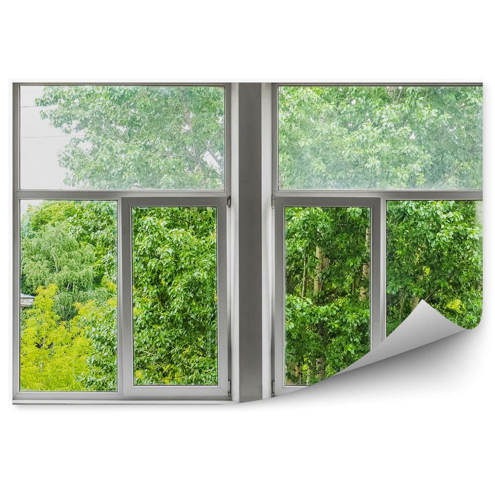 Papier peint Vue d'arbres verts à l'extérieur de la fenêtre d'un appartement
