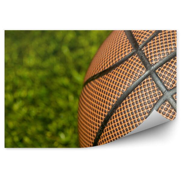 Papier peint Terrain de basket-ball sur gazon