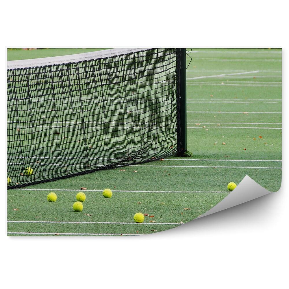 Papier peint Terrain de tennis balles filet