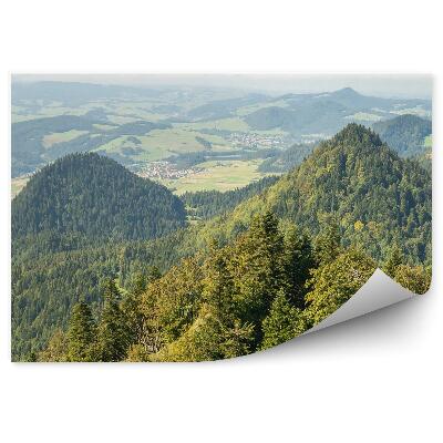 Papier peint Pointes Des Montagnes Des Pieniny Vertes