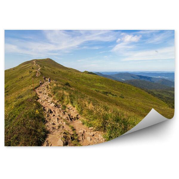 Papier peint Chemin De Montagne Bieszczady Personnes