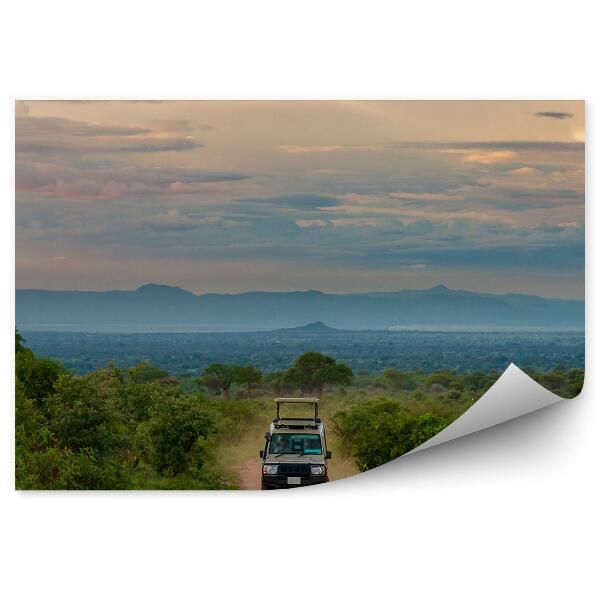 Papier peint Voiture sur une route dans une savane de safari