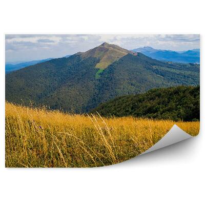 Papier peint Montagnes À Bieszczady Clairière Végétation Verdure