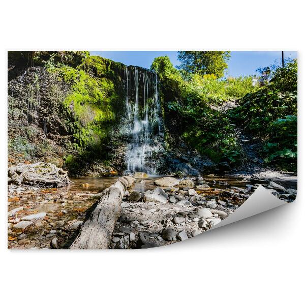 Papier peint Petite Cascade Végétation Rochers Bieszczady