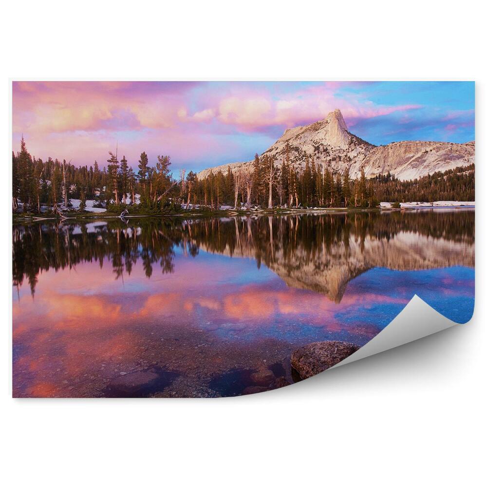 Papier peint Parc National Collines Arbre de Noël blanc neige Reflet dans l'eau