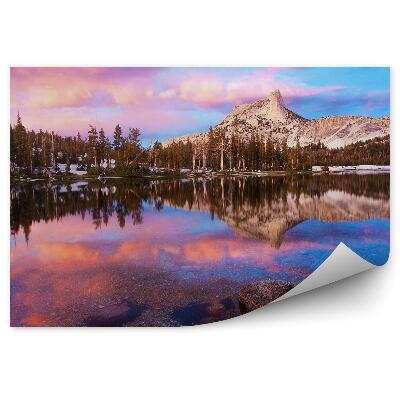 Papier peint Parc National Collines Arbre de Noël blanc neige Reflet dans l'eau