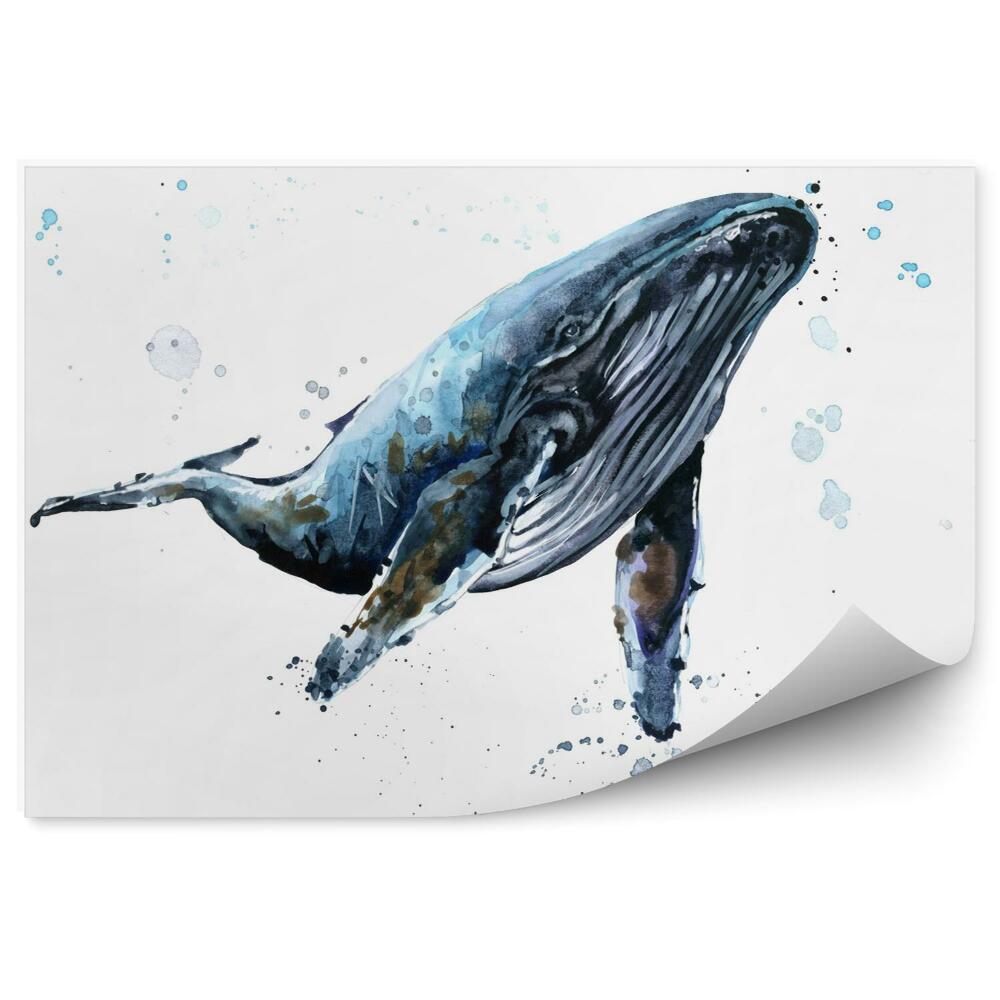 Papier peint panoramique Baleine à bosse