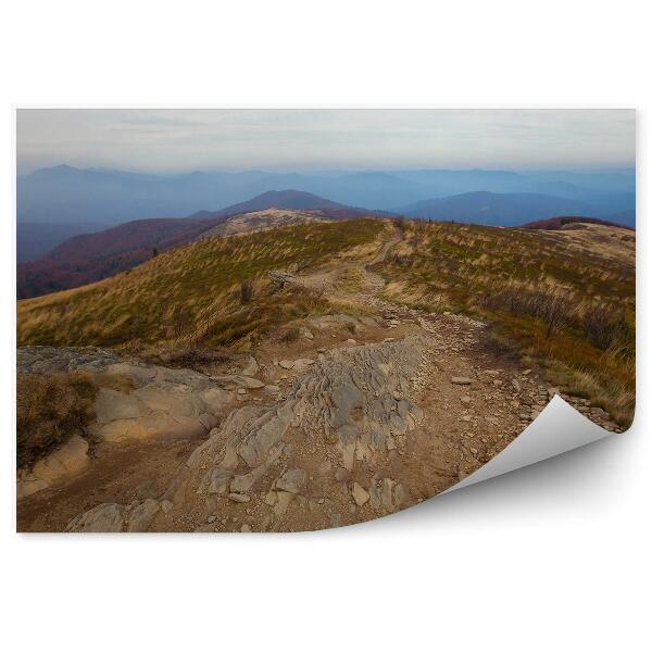 Papier peint Chemin De Montagne Rochers Végétation Automne