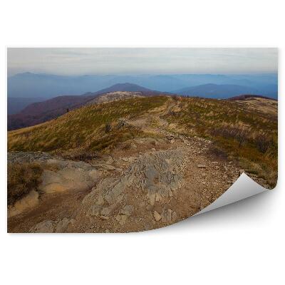 Papier peint Chemin De Montagne Rochers Végétation Automne