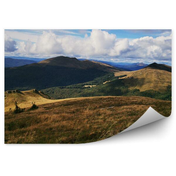 Papier peint Clairière Montagnes Paysage Pics Bieszczady