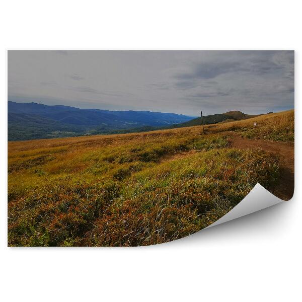 Papier peint Sentier Battu Vue Sur Les Montagnes