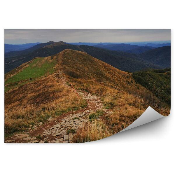 Papier peint Bieszczady Montagne Sentier Forêt Arbres